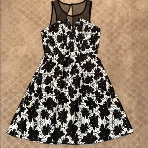 beautiful mini dress with mesh top